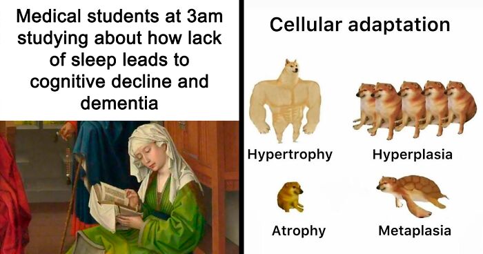 71 Medical Memes For Doctors, Nurses, And Anyone Who’s Ever Googled Their Symptoms