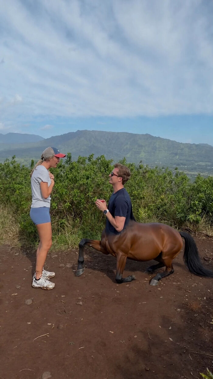 A woman's proposal pic with a man as a centaur, kneeled on a hill. Hilarious edits are likely to follow.