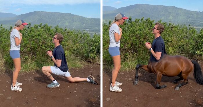 People Saw This Woman’s Proposal Pic And Couldn’t Resist Making These 42 Hilarious Edits