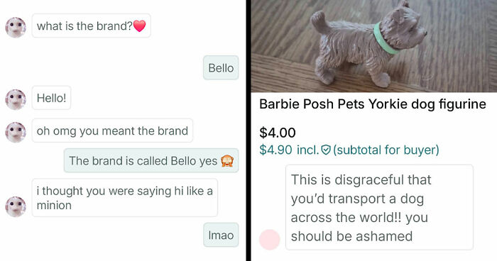 69 Photos That Show The Next-Level Stupidity People Encountered While Using Vinted (New Pics)