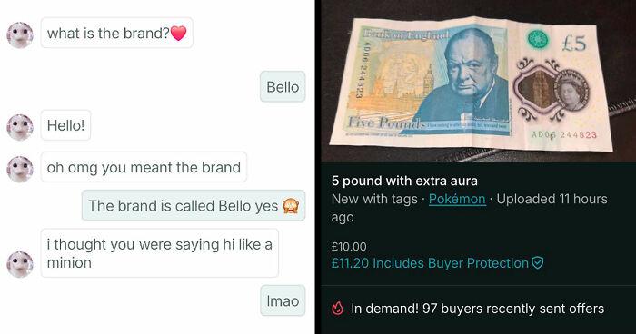69 Photos That Show The Next-Level Stupidity People Encountered While Using Vinted (New Pics)