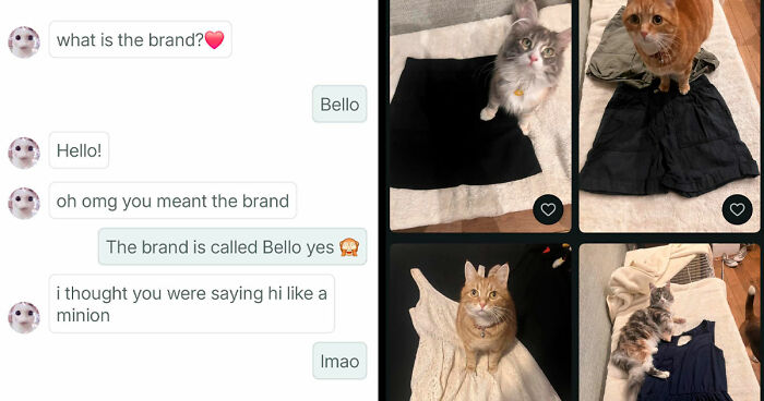 69 Photos That Show The Next-Level Stupidity People Encountered While Using Vinted (New Pics)