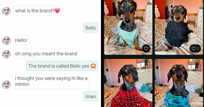 69 Photos That Show The Next-Level Stupidity People Encountered While Using Vinted (New Pics)