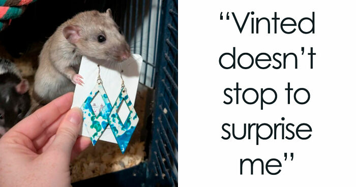 69 Photos That Show The Next-Level Stupidity People Encountered While Using Vinted (New Pics)