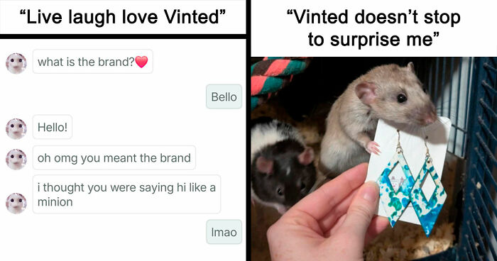 69 Photos That Show The Next-Level Stupidity People Encountered While Using Vinted (New Pics)