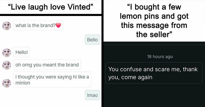 69 Photos That Show The Next-Level Stupidity People Encountered While Using Vinted (New Pics)