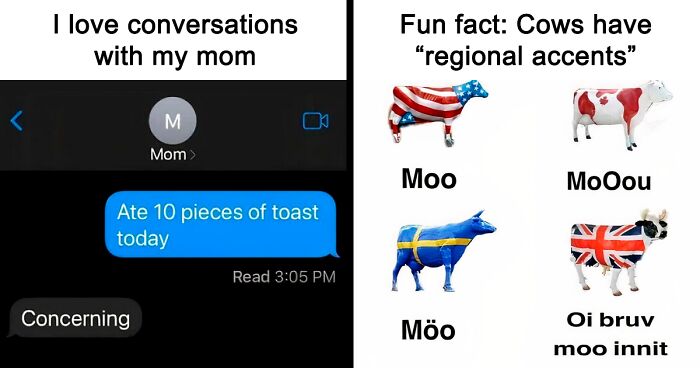 67 British Memes That Everyone Can Enjoy About The Land Of Rain, Tea And Biscuits