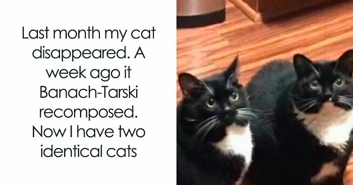 If You’ve Ever Struggled With Math, These 83 Funny Memes Might Bring The Trauma Back