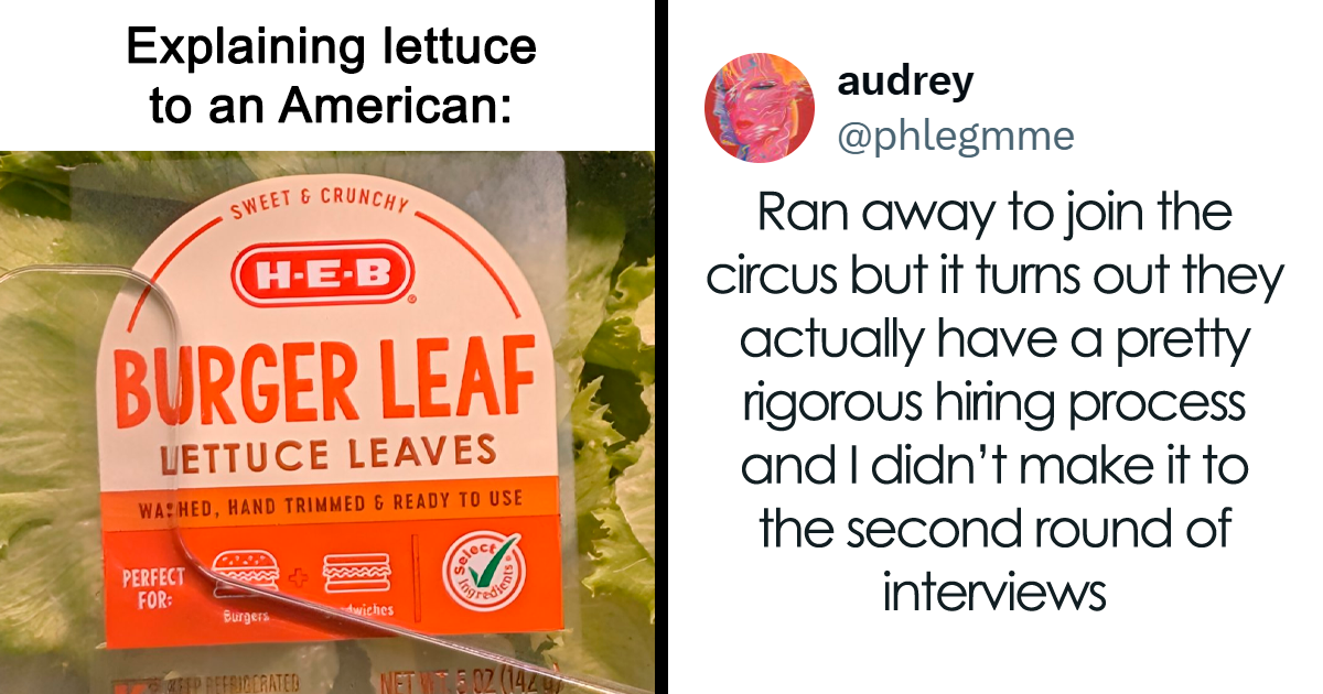 These 46 People On Twitter Were Considerably Funnier Than Anyone Else During May