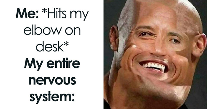 If You Use Memes To Escape Reality, Here Are 83 That Are Just Perfect For This
