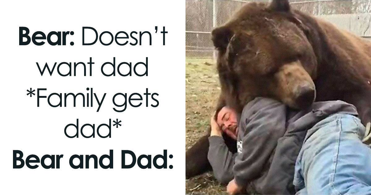 83 Random And Funny Memes Because You Deserve A Happy Little Break ...
