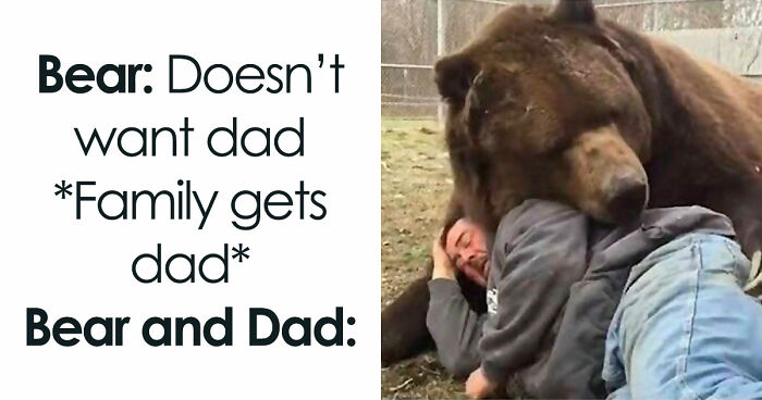 If You Use Memes To Escape Reality, Here Are 83 That Are Just Perfect For This