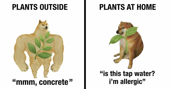 If You Use Memes To Escape Reality, Here Are 83 That Are Just Perfect For This