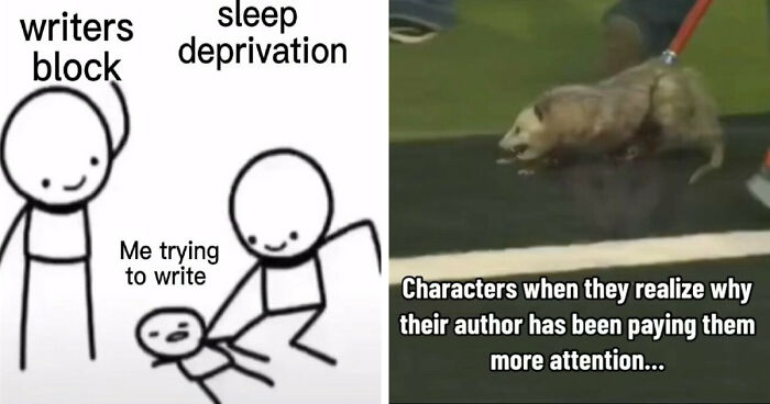 87 Funny And Witty Memes About Writing That Might Inspire You To Grab A Pen