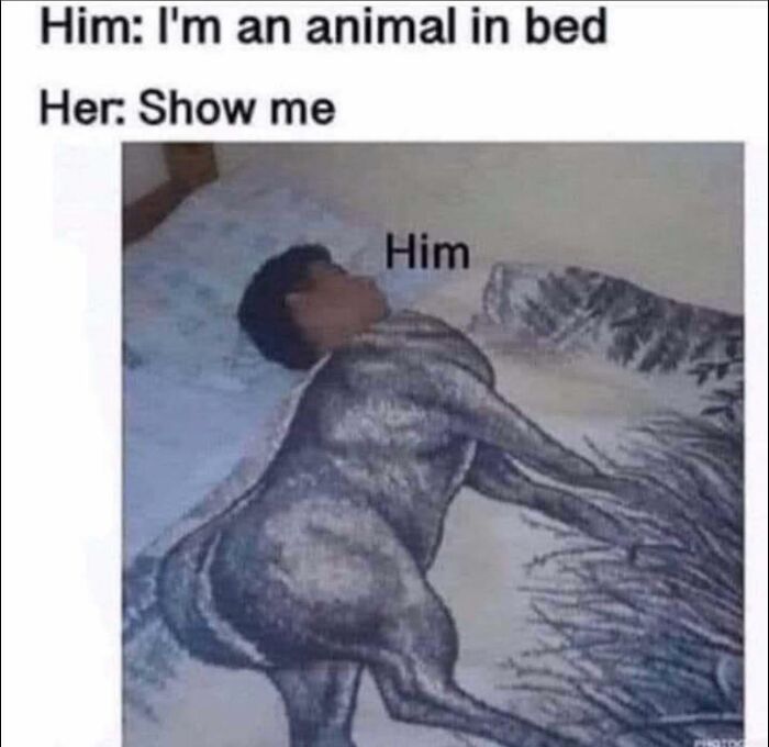 A meme showing a man on a bed with a centaur body on a sheet, playing on the phrase "I'm an animal in bed." Random memes for laughs.