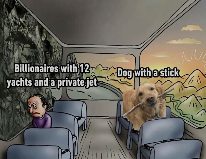 A meme showing a sad, wealthy man and a happy dog with a stick on a bus. A funny random meme.
