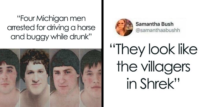 These 41 Random Memes Are The Exact Kind Of Nonsense Your Brain Needs Right Now