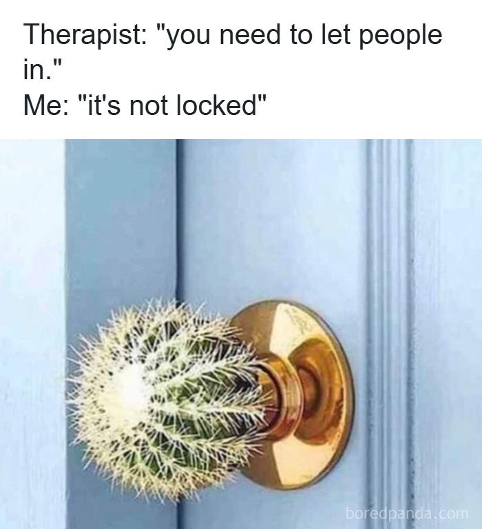 A funny random meme with a cactus as a doorknob and text about a therapist saying to let people in.