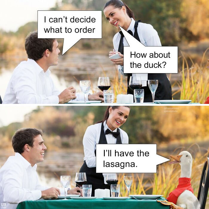 Funny-Puns-Dad-Jokes-Punhubonline