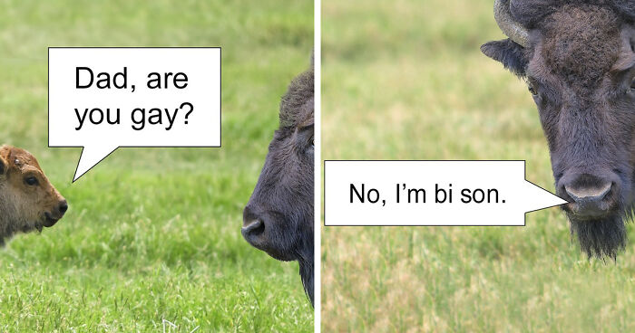 85 Infuriatingly Funny Puns And Jokes That Keep Getting Worse In The Best Possible Way (New Pics)