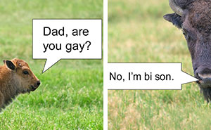 85 Infuriatingly Funny Puns And Jokes That Keep Getting Worse In The Best Possible Way (New Pics)