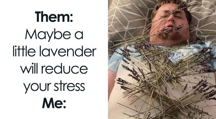 71 Top-Tier Random Memes From This FB Group To Give You A Quick Dopamine Hit