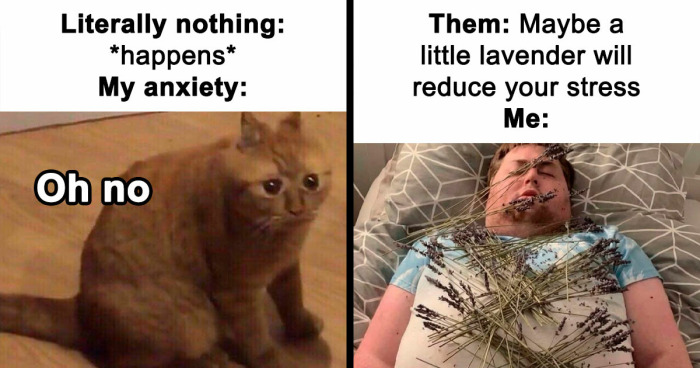 71 Top-Tier Random Memes From This FB Group To Give You A Quick Dopamine Hit