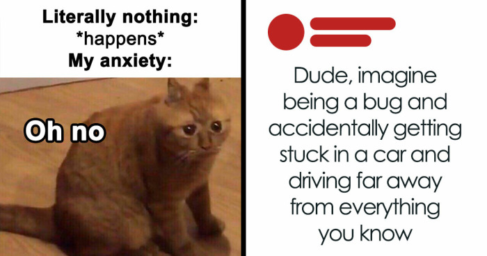 71 Top-Tier Random Memes From This FB Group To Give You A Quick Dopamine Hit