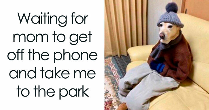71 Top-Tier Random Memes From This FB Group To Give You A Quick Dopamine Hit