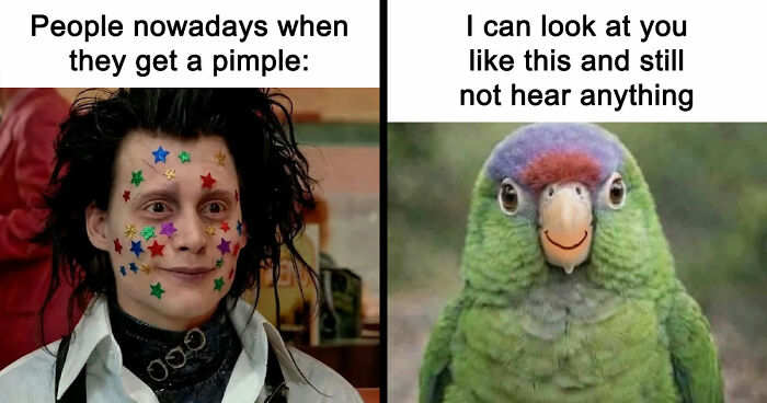71 Top-Tier Random Memes From This FB Group To Give You A Quick Dopamine Hit