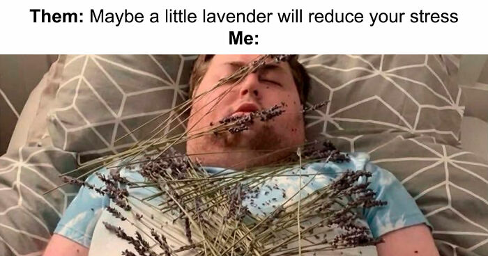 71 Top-Tier Random Memes From This FB Group To Give You A Quick Dopamine Hit