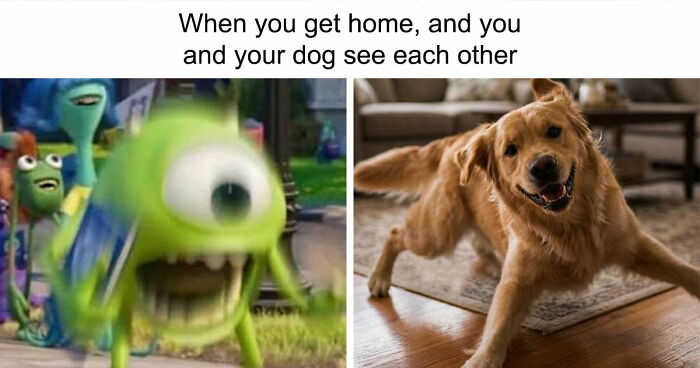 71 Top-Tier Random Memes From This FB Group To Give You A Quick Dopamine Hit