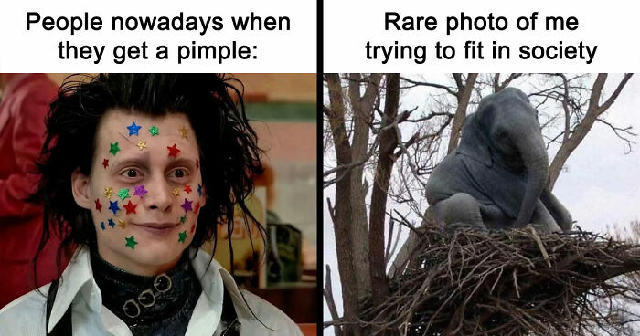 71 Top-Tier Random Memes From This FB Group To Give You A Quick Dopamine Hit