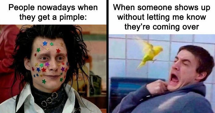 71 Top-Tier Random Memes From This FB Group To Give You A Quick Dopamine Hit