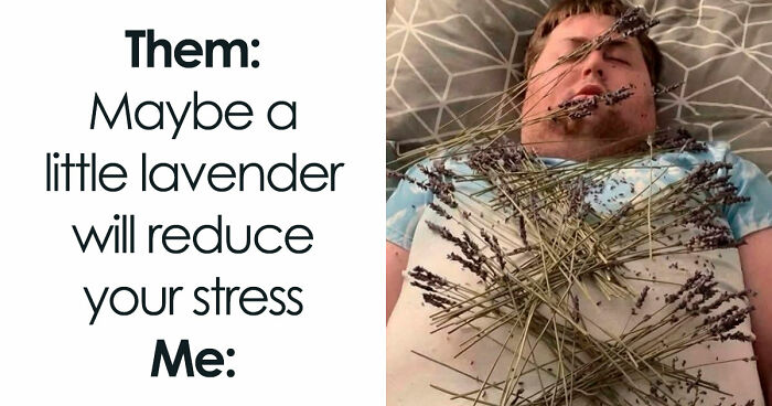 71 Top-Tier Random Memes From This FB Group To Give You A Quick Dopamine Hit