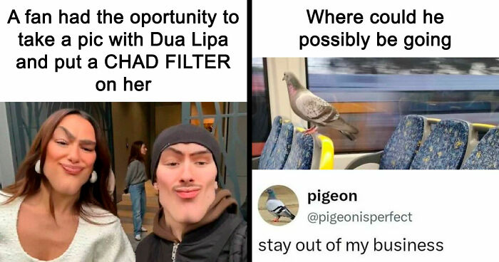 These 65 Memes Can Help You Fight Boredom During The Dullest Moments of Your Day