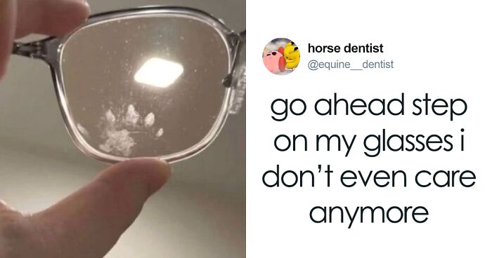 55 Funny Tweets That Confirm Cats Are Equal Parts Adorable, Weird, And Emotionally Manipulative