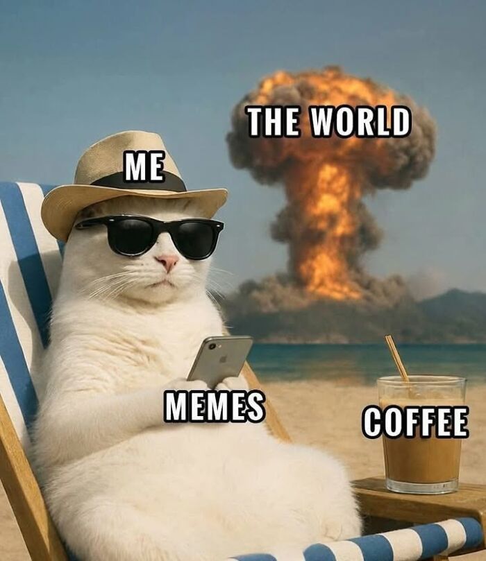 Cat meme relaxing with memes and coffee while the world explodes