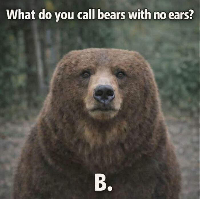 Bear with no ears joke in a funny dark humor meme