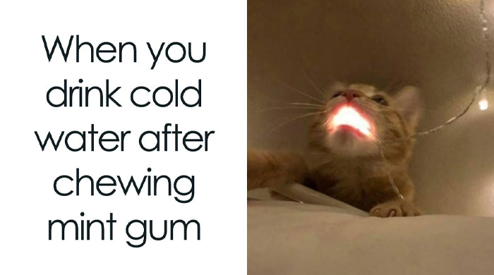 60 Suspiciously Relatable Memes That Know A Little Too Much About Us