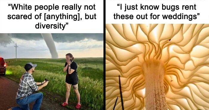 98 “Godless Comments” That Might Make You Feel Horrible For Laughing