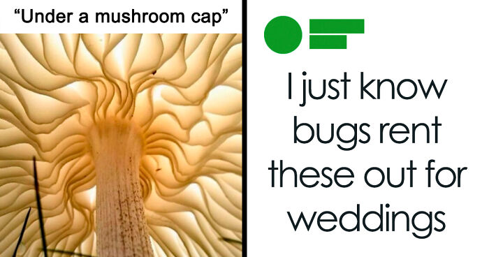 98 “Godless Comments” That Might Make You Feel Horrible For Laughing