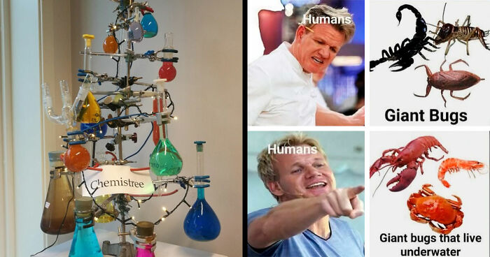 47 Funny Science Memes From This Facebook Group That Actually Might Make You Smarter (New Pics)