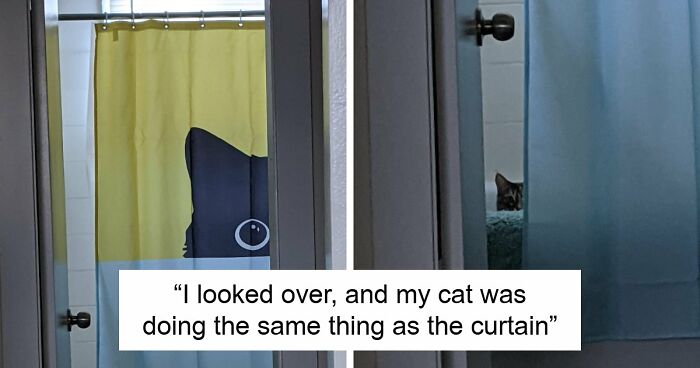 64 Quirky And Hilarious Shower Curtains That Perfectly Show People’s Personalities