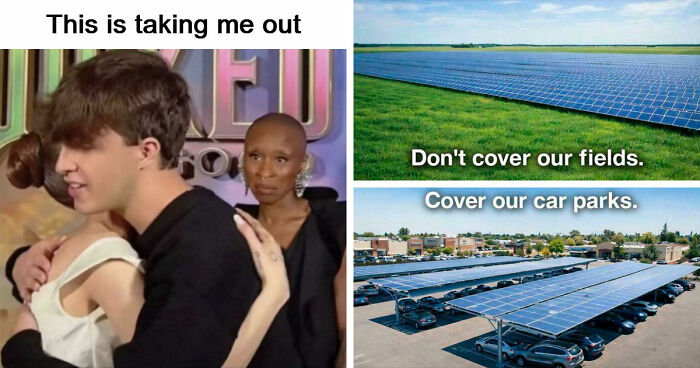70 Of The Internet’s Favorite Moments That Are Much Better Than The News (New Pics)