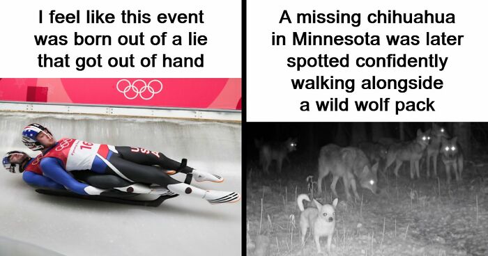 70 Of The Internet’s Favorite Moments That Are Much Better Than The News (New Pics)
