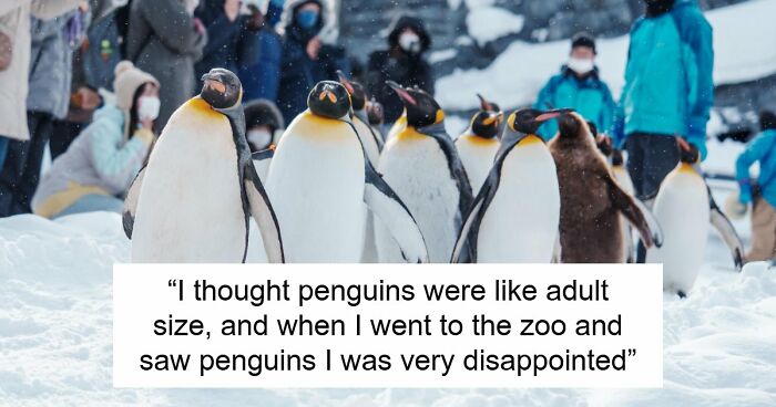 77 Hilariously Late Realizations That Should Have Been Obvious But Somehow Weren’t