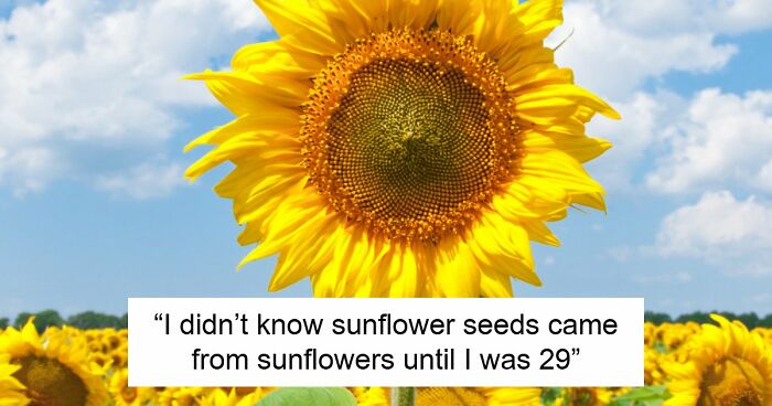 77 Hilariously Late Realizations That Should Have Been Obvious But Somehow Weren’t