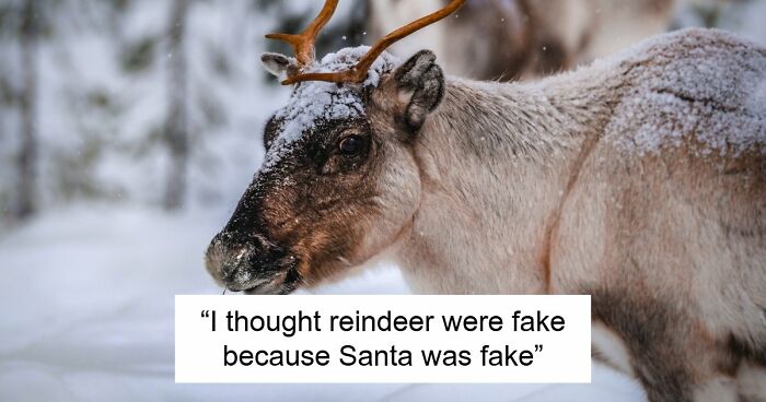 77 Hilariously Late Realizations That Should Have Been Obvious But Somehow Weren’t