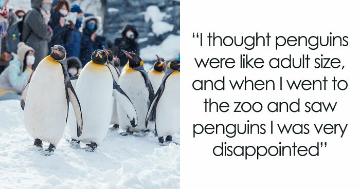 77 Hilariously Late Realizations That Should Have Been Obvious But Somehow Weren’t